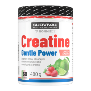 Survival Creatine Monohydrate Gentle Power 480 g limeta-jahoda obraz