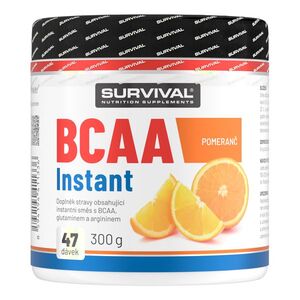 Survival BCAA Instant 300 g pomeranč obraz