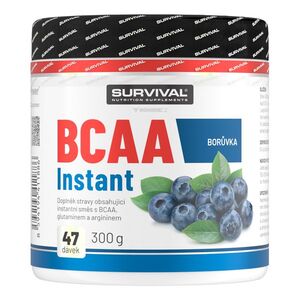 Survival BCAA Instant 300 g borůvka obraz