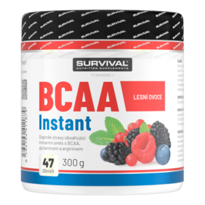 Survival BCAA Instant 300 g lesní ovoce obraz