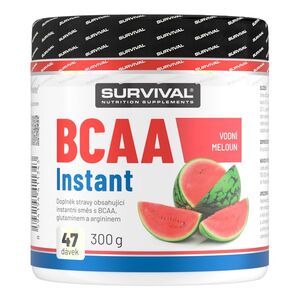 Survival BCAA Instant 300 g meloun obraz