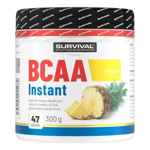 Survival BCAA Instant 300 g ananas obraz