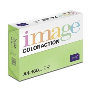 Antalis Java - barevný kancelářský papír, středně zelený A4, 160 g/m2, 250 listů obraz