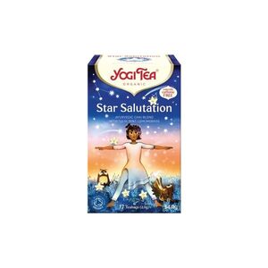 YOGI TEA Pozdrav hvězdám BIO porcovaný čaj 17 sáčků obraz
