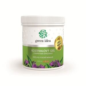 Green idea Kostivalový gel 250+50 ml limitovaná edice obraz