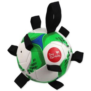 Dog Fantasy Hračka míč fotbalový s úchytky pro psy 22cm obraz