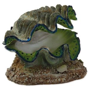 Aqua Excellent Dekorace Škeble vzduchovací 12x10x5, 5cm obraz