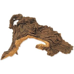 Hobby Dekorace Dohse kořen Tropical wood L obraz