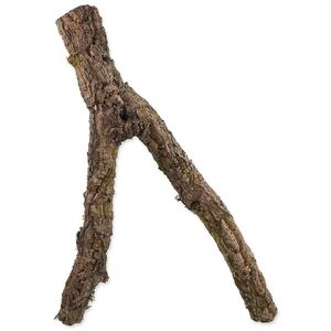 Repti Planet Dekorace Korková větev M 30-60 cm obraz