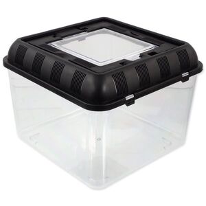 Repti Planet Chovný box 26x26x20cm obraz