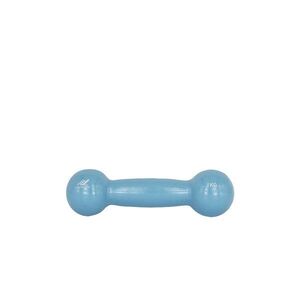 Rucanor Dumbbell činky, Barva: modrá, Váha: 1 Kg obraz