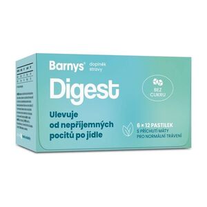 Barny´s Digest 6x12 pastilek obraz