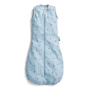 Ergopouch Pytel na spaní organická bavlna Jersey Dragonflies 8-24 m, 8-14 kg, 0, 2 tog obraz