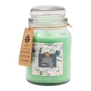 ARÔME Vonná svíčka Eucalyptus & Spearmint 560 g obraz