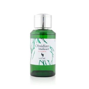 Volare Parfémovaná voda - OBSIDIAN STALWART - Objem: 100ml obraz