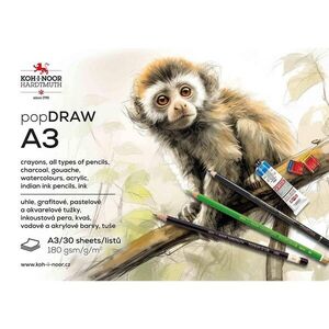 KOH-I-NOOR 9920 - skicák DRAW A3, 180 g/m2, 30 listů obraz