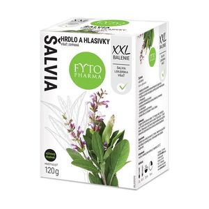 Fytopharma Šalvěj nať sypaná 120 g obraz