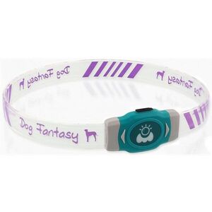 Dog Fantasy Obojek LED Svítící různobarevný nabíjecí L 65cm obraz
