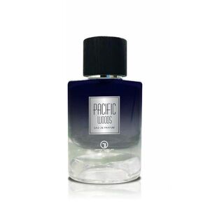 Grandeur Pacific Woods EDP 100 ml M obraz