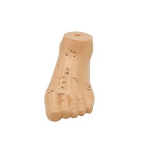 Hwato Akupunkturní model nohy, 15 cm obraz