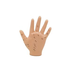 Hwato Akupunkturní model ruky, 13 cm obraz