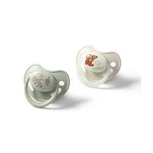 Babyono Dudlíky anatomické 6-18m+ 2 ks obraz