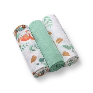 Babyono Pleny mušelínové Super Soft 70x70 cm 3 ks mint obraz