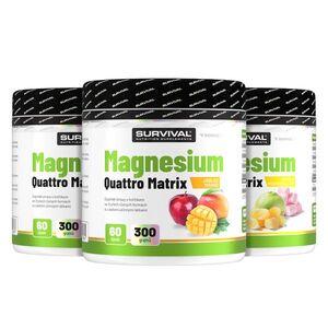 Survival Magnesium Quattro Matrix 300 g 2+1 ZDARMA 2xpomelo&marsh + 1xjablko obraz
