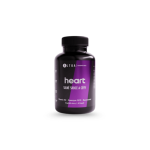 Altoa Essentials HEART Srdce a cévy obraz