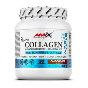 Amix Nutrition Collagen Marine Peptan® Drink 300 g čokoláda 300 g čokoláda obraz