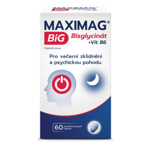 MaxiMag BiG Bisglycinát + vitamín B6 60 tablet obraz