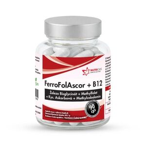 Nutricius FerroFolAscor + B12 90 kapslí obraz