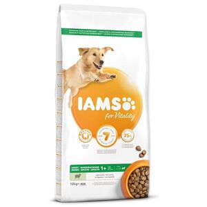 IAMS Krmivo Dog Adult Large Lamb 12kg obraz