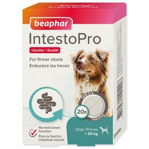 Beaphar Tableta IntestoPro L pro velké psy 20ks obraz
