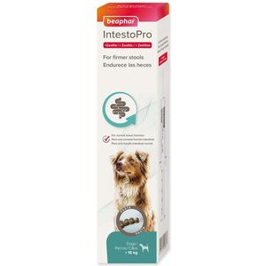 Beaphar Pasta IntestoPro L pro velké psy 2x 20ml obraz