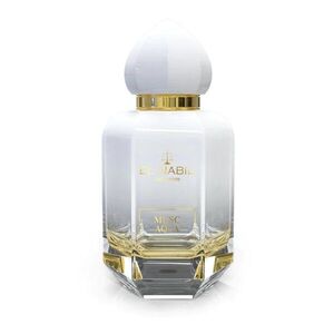 El Nabil Musc Aqua - parfémová voda 65ml obraz