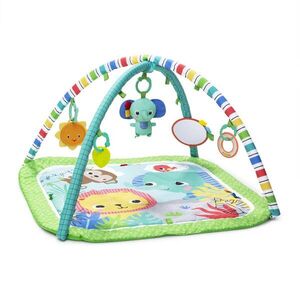 Brightstarts Deka na hraní Wild Wiggles s aktivitami 0m+ obraz