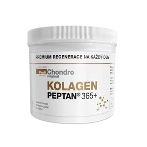 ProfiChondro KOLAGEN PEPTAN 365 g obraz