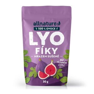 Allnature Fíky sušené mrazem 30 g obraz