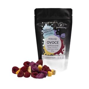 Lyopotraviny MiXniSi - brusinky, černý rybíz, aronie, BIO rakytník, sladkoplodý jeřáb, 30 g obraz