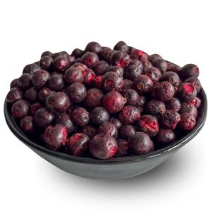 Lyopotraviny BIO český černý rybíz lyofilizovaný (sušeno mrazem), 25 g obraz