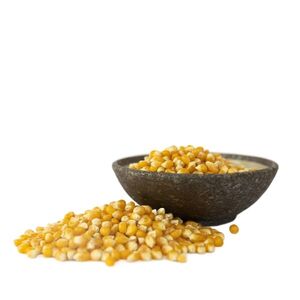 Lyopotraviny BIO Kukuřice na popcorn, 500 g obraz