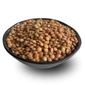 Lyopotraviny BIO Čočka hnědá, 1000 g, neloupaná, 1000 g obraz