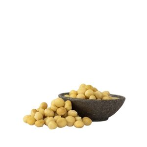 Lyopotraviny BIO makadamové ořechy RAW, 500 g obraz