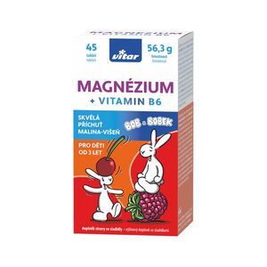 Vitar Kids Magnézium + B6 45 tablet malina+višeň obraz