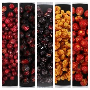 Lyopotraviny MiXniSi - brusinky, černý rybíz, aronie, BIO rakytník, sladkoplodý jeřáb 50 g obraz