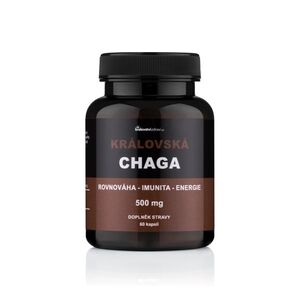 Království zdraví Královská Chaga pro podporu vitality, 60 kapslí obraz
