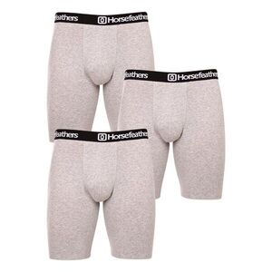 Horsefeathers 3PACK pánské boxerky Dynasty long (AM195C) XXL obraz