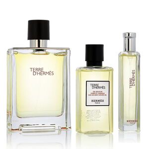 Hermès Terre D' EDT 100 ml + EDT 15 ml + SG na tělo i vlasy 40 ml M (Travel Essentials) obraz