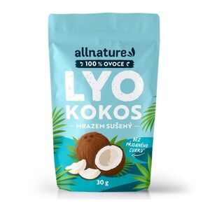 Allnature Kokos sušený mrazem 30 g obraz